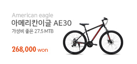 아메리칸이글 AE30